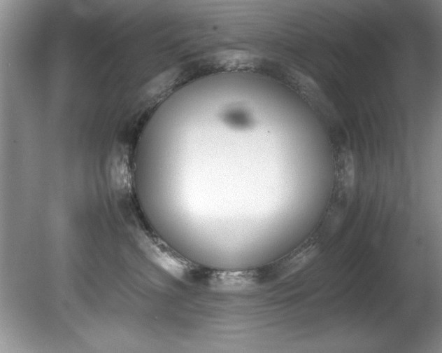 X0000081570622200701221054