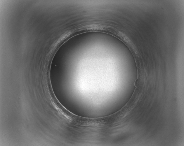 X0000081570625200701221053