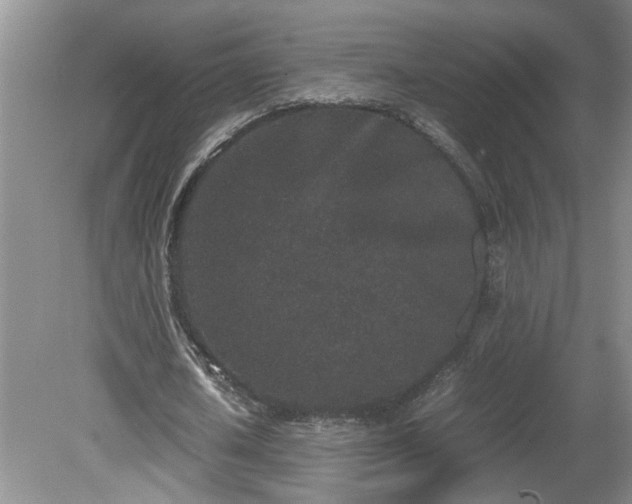 X0000081570626200701221053