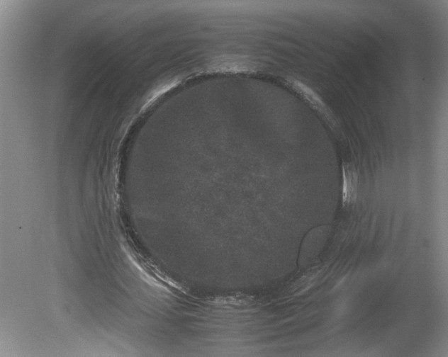 X0000081570627200701221053