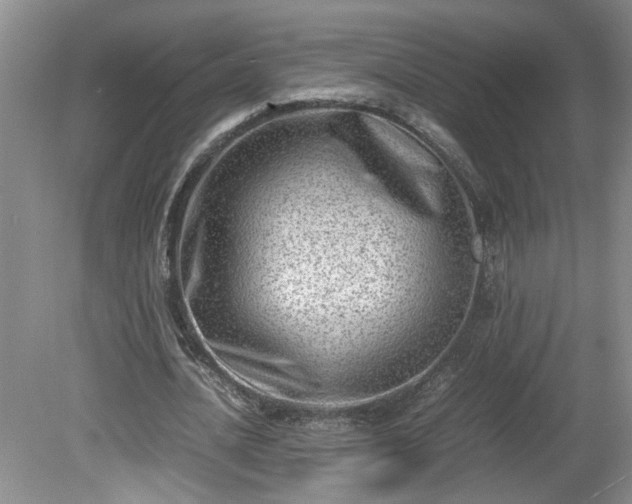 X0000081570628200701221053