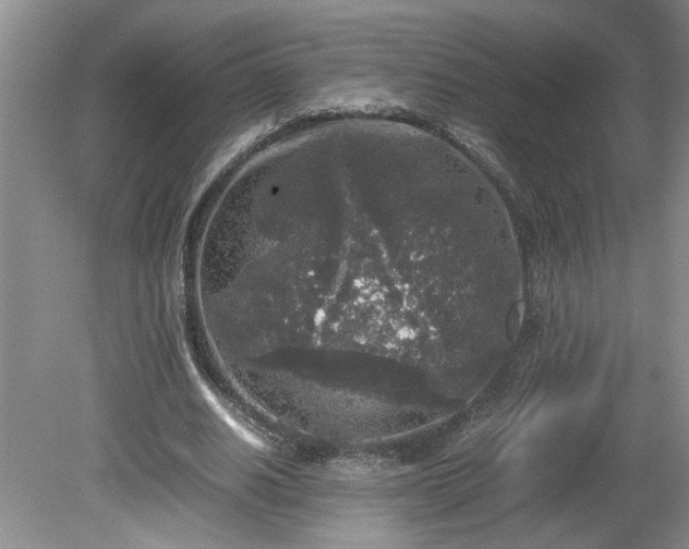 X0000081570630200701221053