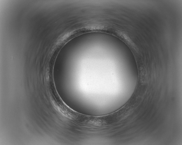 X0000081570631200701221053