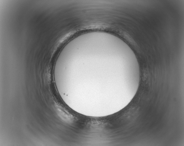 X0000081570632200701221054