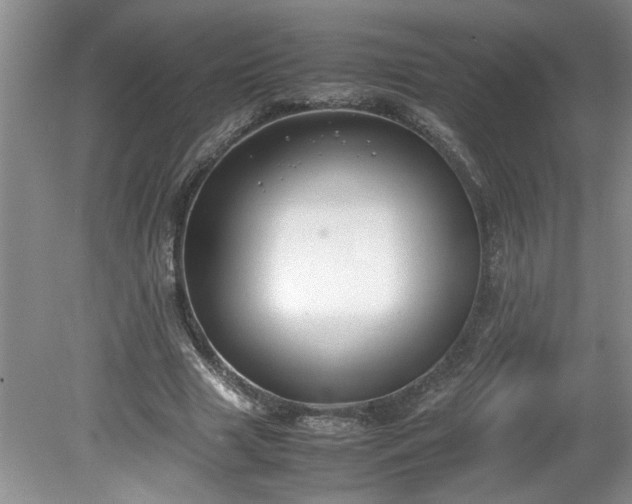 X0000081570633200701221054