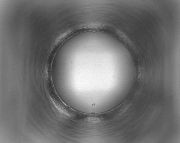 X0000081570636200701221054