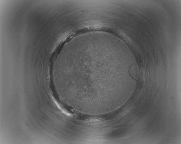 X0000081570638200701221054