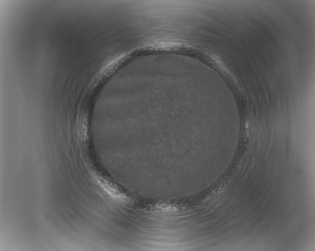 X0000081570640200701221054