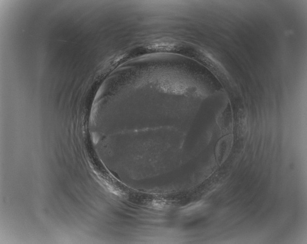 X0000081570641200701221054