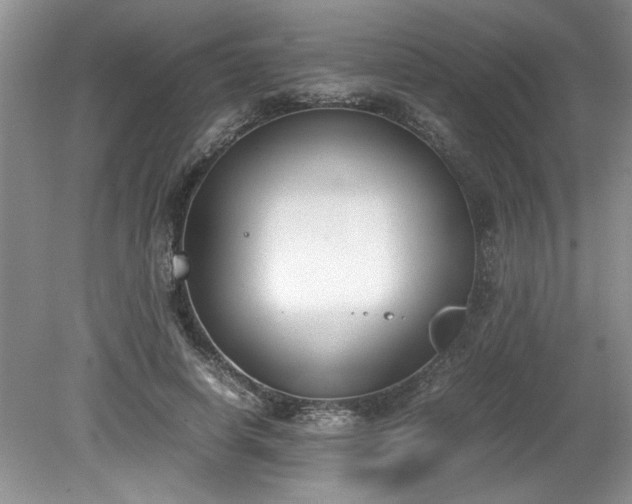 X0000081570642200701221054