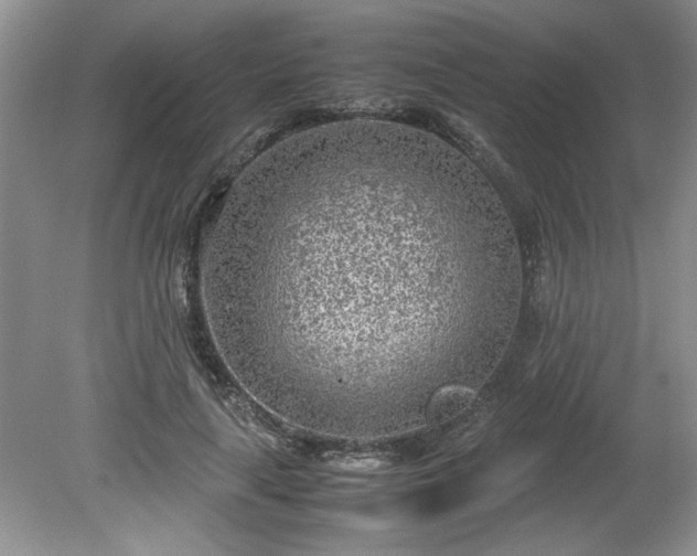 X0000081570643200701221054