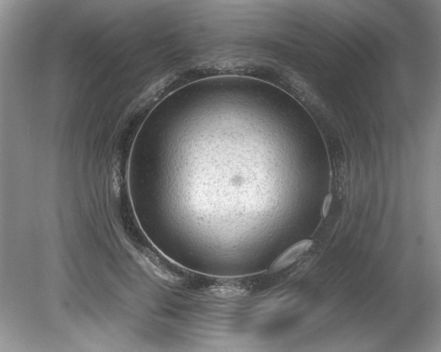 X0000081570644200701221054