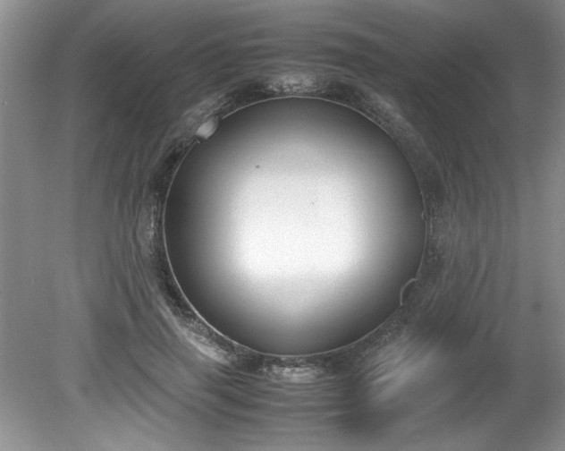 X0000081570645200701221054