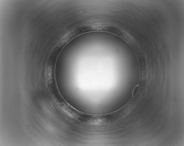 X0000081570646200701221054