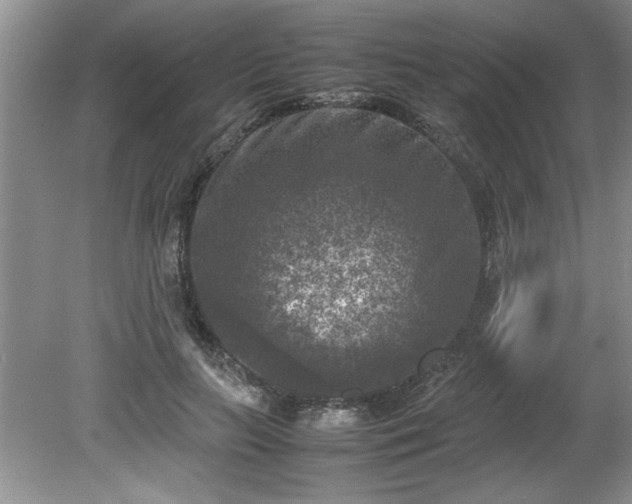 X0000081570647200701221054