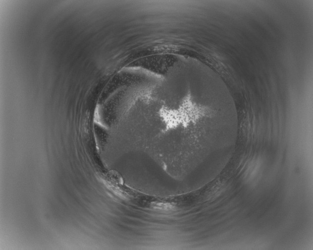 X0000081570649200701221054