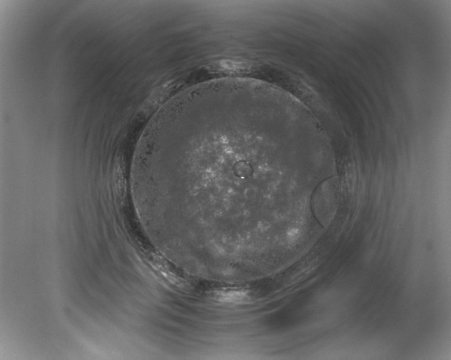 X0000081570651200701221054