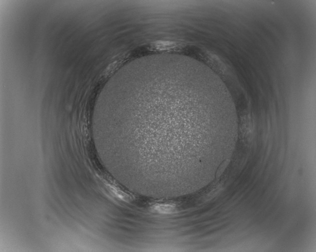 X0000081570653200701221054