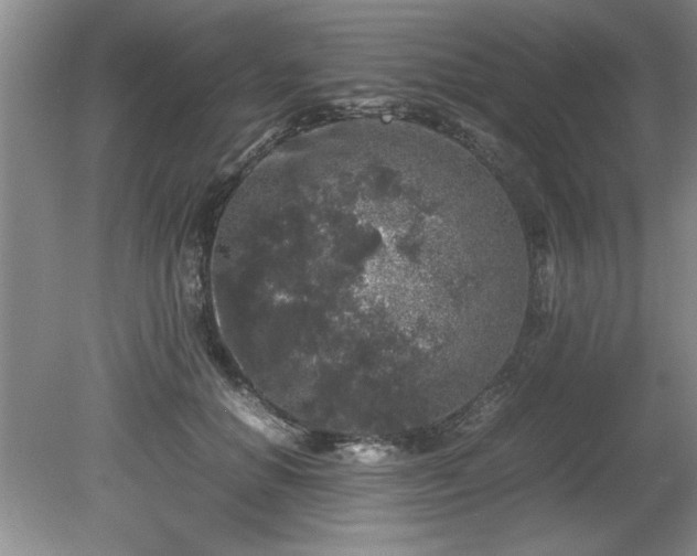 X0000081570654200701221054