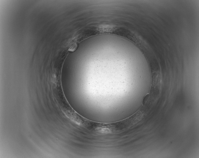 X0000081570655200701221054