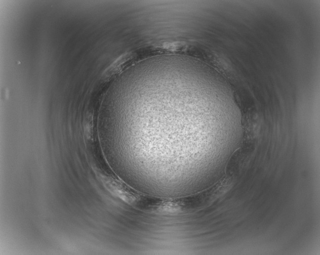 X0000081570656200701221054