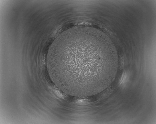 X0000081570657200701221054