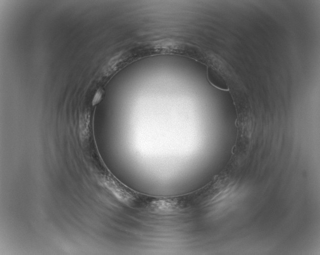 X0000081570660200701221054