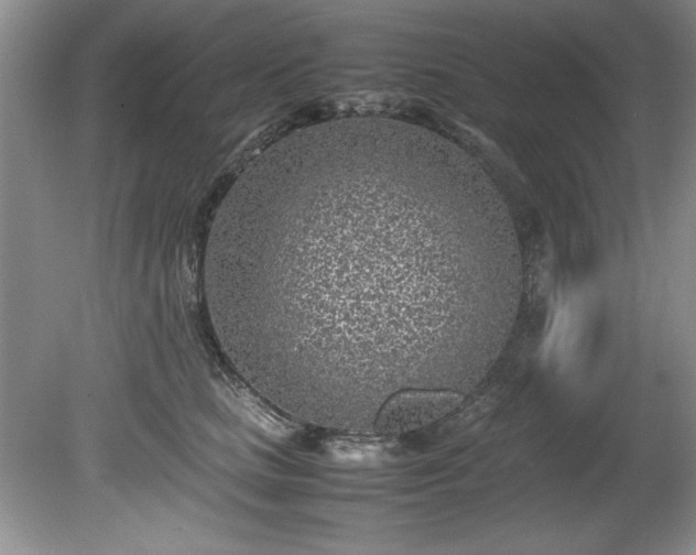 X0000081570661200701221054