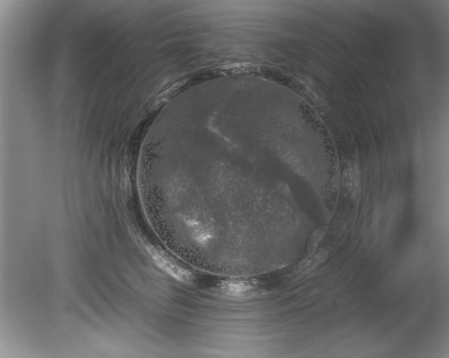 X0000081570662200701221054