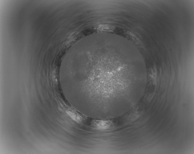 X0000081570663200701221054