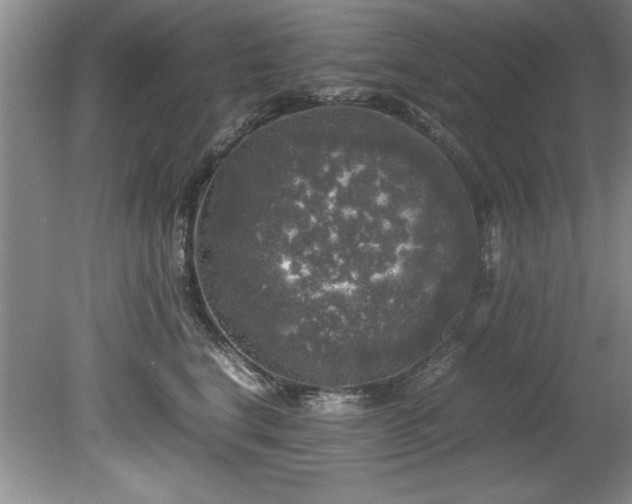 X0000081570664200701221054