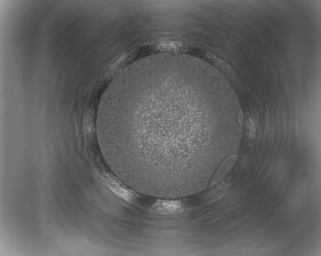 X0000081570665200701221054