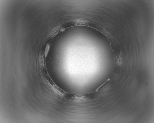 X0000081570666200701221054