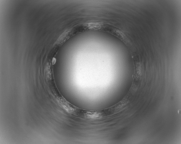 X0000081570667200701221054