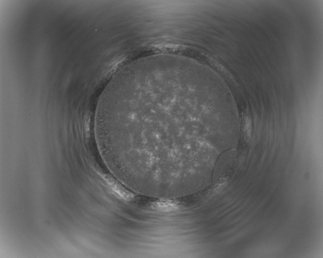 X0000081570668200701221054