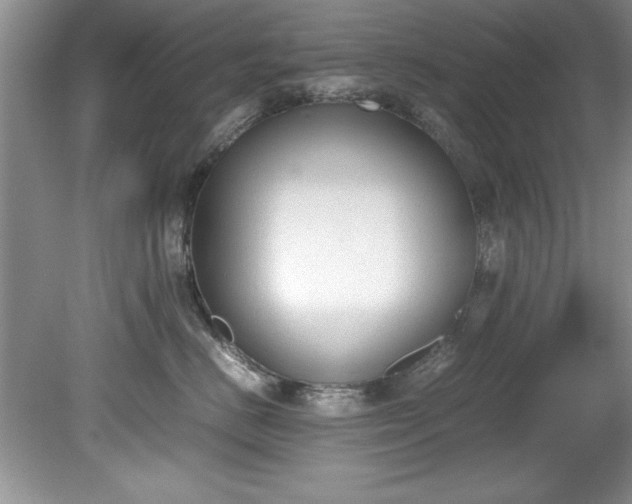 X0000081570670200701221054