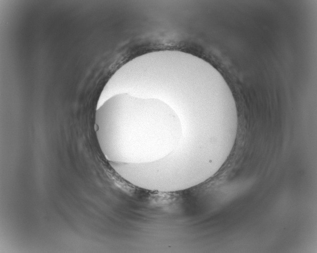 X0000081570672200701221054