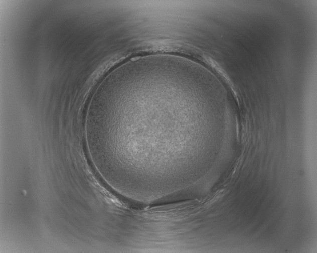 X0000081570673200701221053