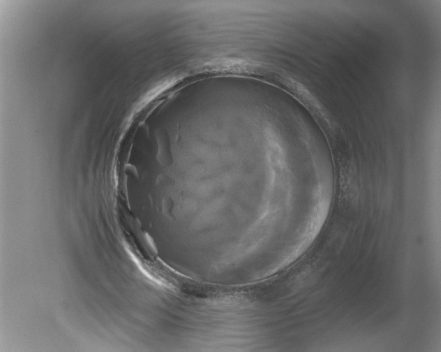 X0000081570674200701221053