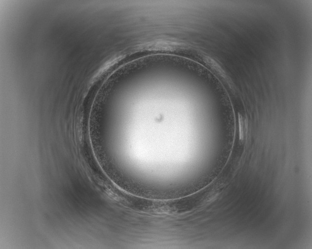 X0000081570675200701221053