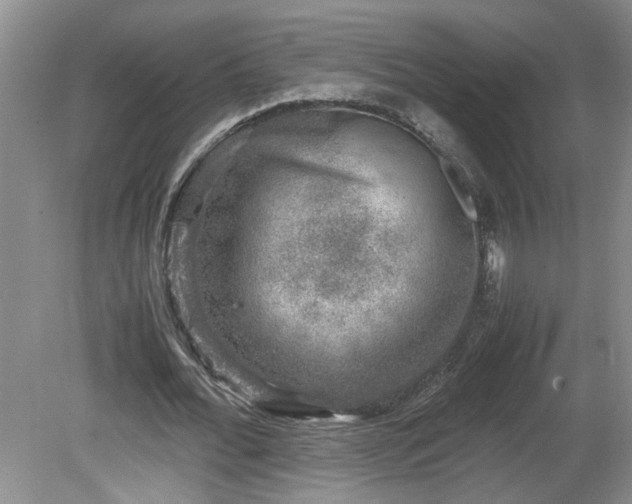 X0000081570676200701221053