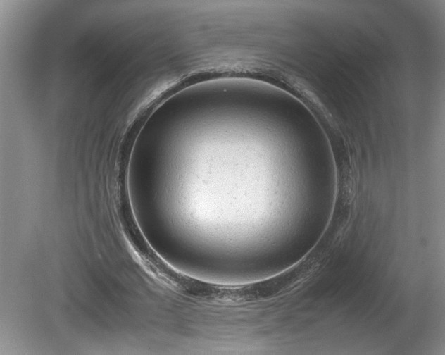 X0000081570677200701221053