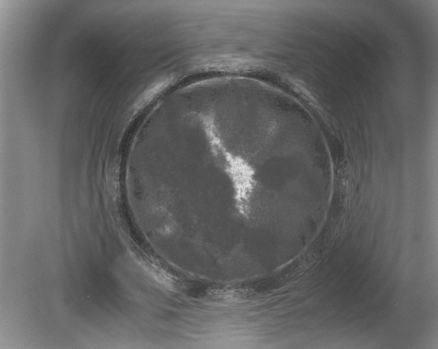 X0000081570679200701221053