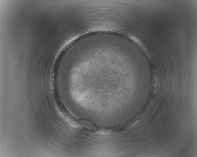 X0000081570680200701221053