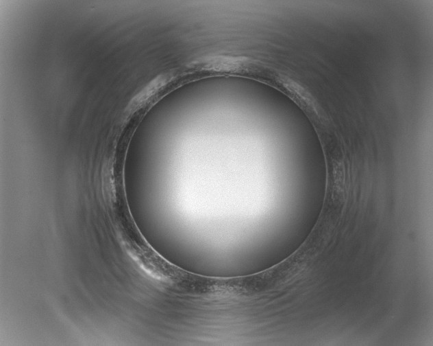 X0000081570682200701221053