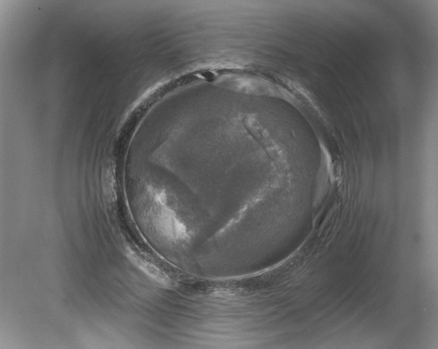 X0000081570684200701221053