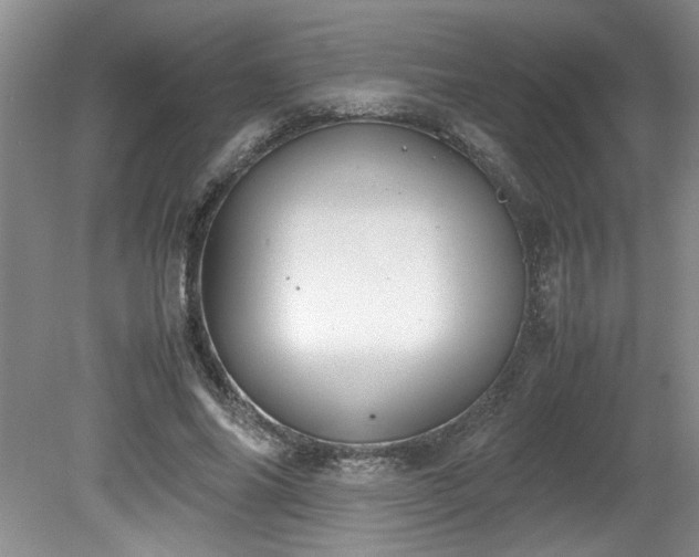 X0000081570686200701221053