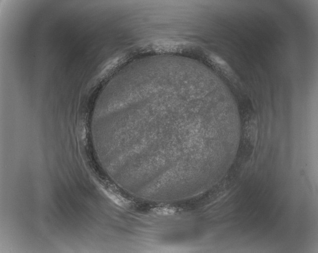 X0000081570687200701221053