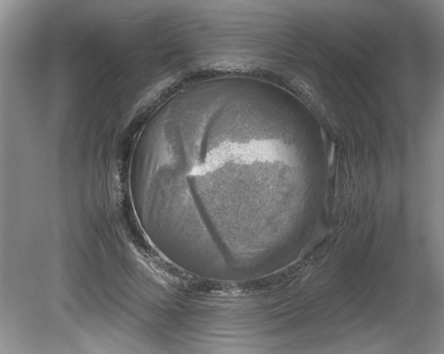 X0000081570688200701221053