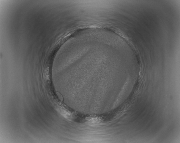 X0000081570689200701221053